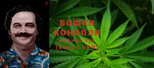 молекула духа Арсеньев