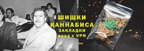 молекула духа Арсеньев